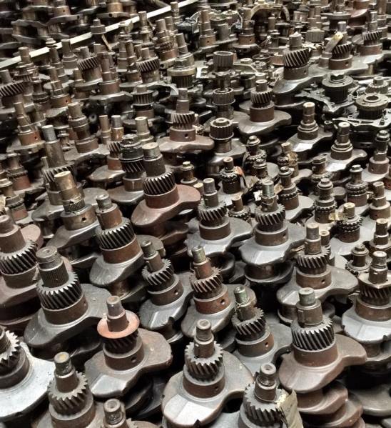 12494876_10207686156368649_687085206433055368_n